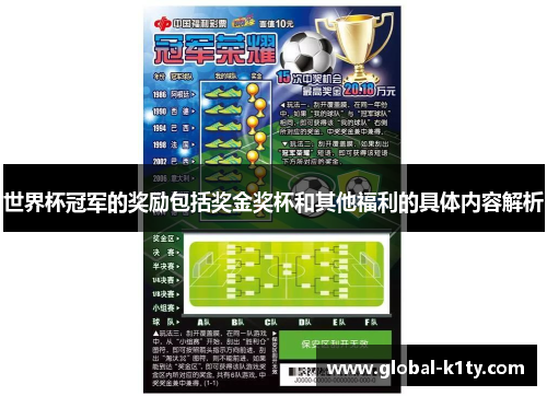 世界杯冠军的奖励包括奖金奖杯和其他福利的具体内容解析